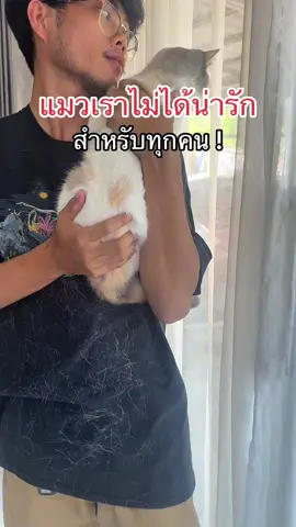 ถูเบาๆ ขนหลุดออกเพียบ #ถุงมือแปรงขนสัตว์เลี้ยง #ขนแมวเต็มบ้าน #ขนแมวติดเสื้อ #ขนแมวติดที่นอน #ชีวิตติดขนแมว 