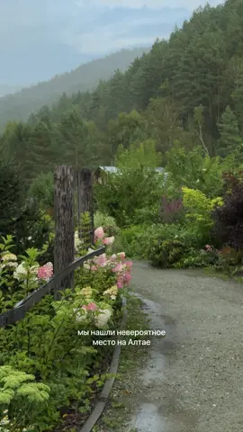 тгк wheretogonsk ← уникальные места Новосибирска СКАЗОЧНЫЙ САД НА АЛТАЕ  в августе наша команда отправилась на Алтай и побывала в @sad_pionov_altay — удивительном эко-парке, где можно почувствовать себя героем фильма🎐 на территории более 5 га собраны сооружения из разных эпох, зелёные поляны и уютные уголки для отдыха. мост влюблённых, птичий дворик с мельницей и японский сад с прудом и карпами превращают прогулку в путешествие по разным странам. главная гордость сада — более 100 сортов пионов, но даже вне сезона здесь всегда что-то цветёт, а осенью аллеи становятся ярко-оранжевыми.  🕯завершить прогулку стоит в ресторане в духе старого Парижа. в меню — фирменная пицца, домашние лимонады, травяные чаи и десерты. хозяйка сада, Вера Адамовна, встречает гостей лично, создавая ощущение тёплого дома. сохраняйте локацию и приезжайте за атмосферой, красивыми кадрами и даже саженцами, чтобы увезти кусочек алтайской сказки домой!  время работы: ежедневно, 10:00–19:00 📍 подробная информация о локации в телеграм-канале wheretogonsk по ссылке в шапке профиля. адрес: Куюм урочище, 3