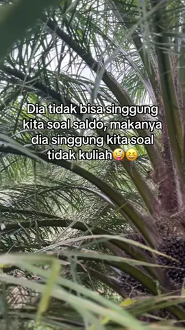 baper skip🫢#sawit #sawitontiktok 