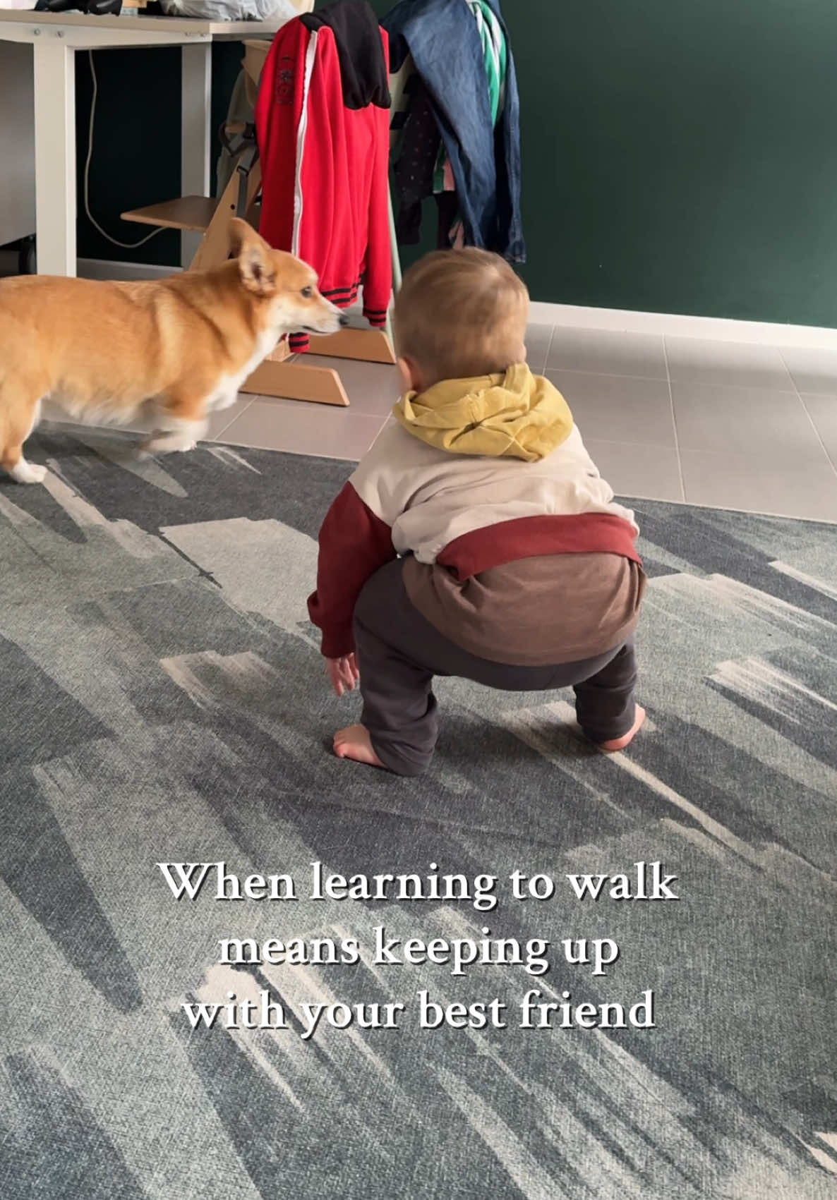 The sound of childhood 💭 #corgi #toddler #BestFriends #childhood #dog 