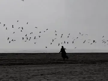 #flying   🪽🪽🪽🪽🪽🪽🪽🪽 Flying takes you to a world of wings and open skies, where every note lifts your spirit, and every heart feels like it’s soaring above clouds, free from all limits, carried by the wind and the light of endless skies