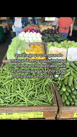 🫖 Té 🫶🏻✨  #manzanilla #té #gdl #cosecha #fyp 