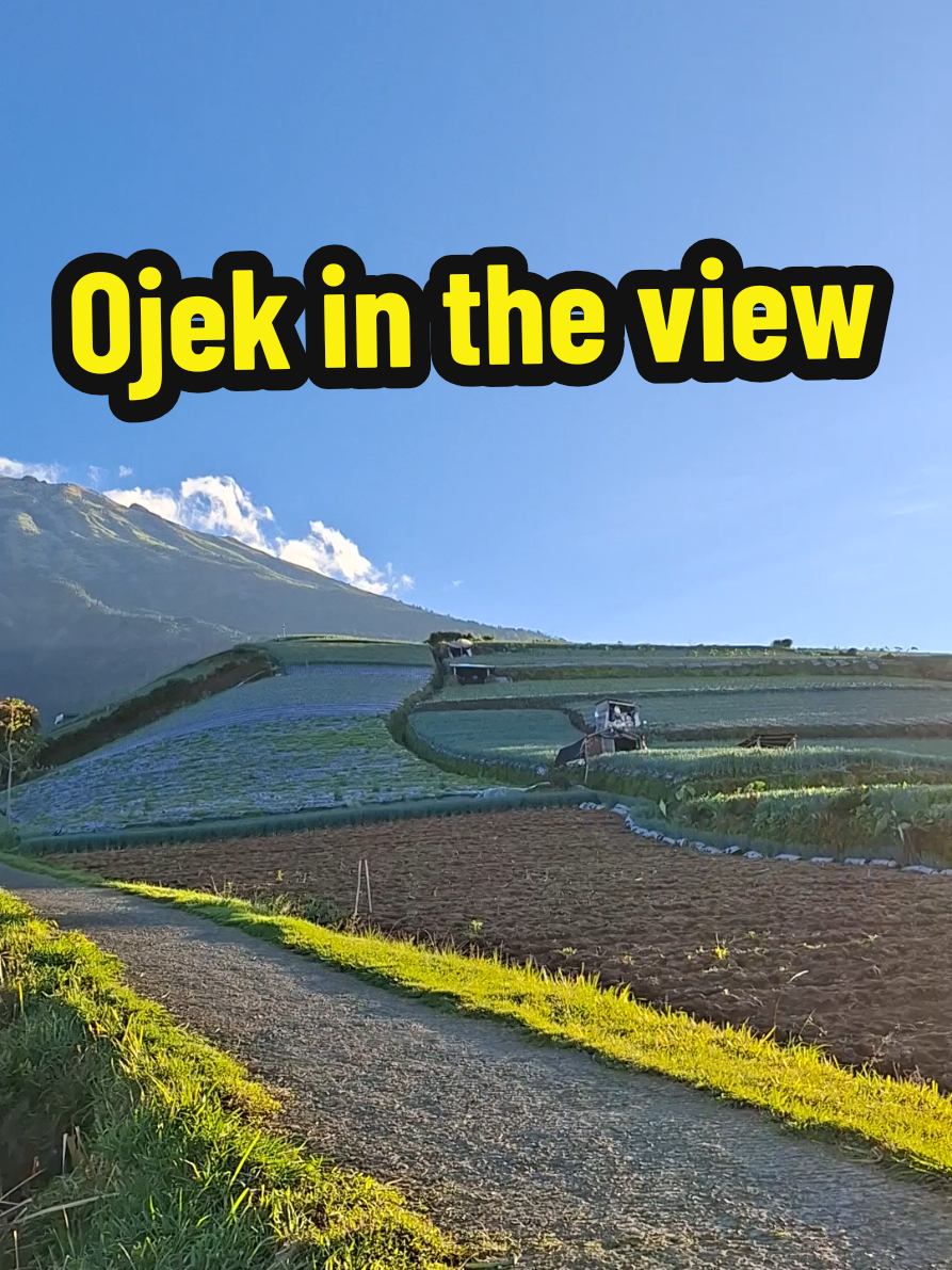 ojek wisata negeri sayur @sukomakmur #magelang24jam #sukomakmur #wisatanegerisayursukomakmur #nepalvanjava #fyp 