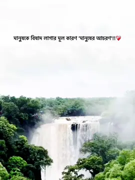 ❤️‍🩹 #foryou #foryoupage #unfrezzmyaccount #fyp #bdtiktokofficial 