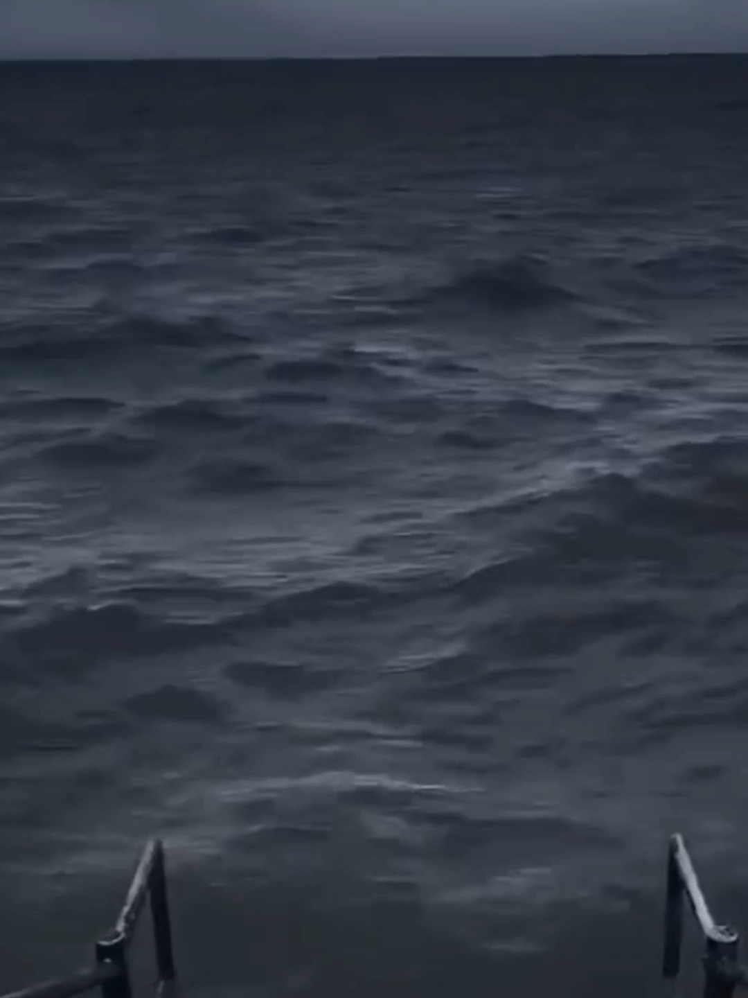 itu yang putih ngapain coba 😭😭😭🤣🤣🤣 #fyp #humor #jokes #random #absurd #lucu #4u #4urpage #kocak #tt #hewan