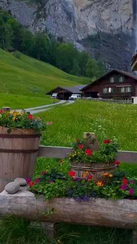 #bollywooddance #bollywoodsong #shahrukhkhan #natural #nature 