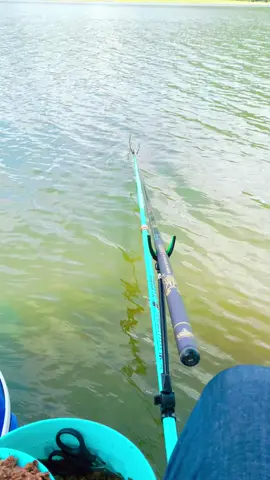 Maps này bao cá rô phi nha ae @Phạm Phong 