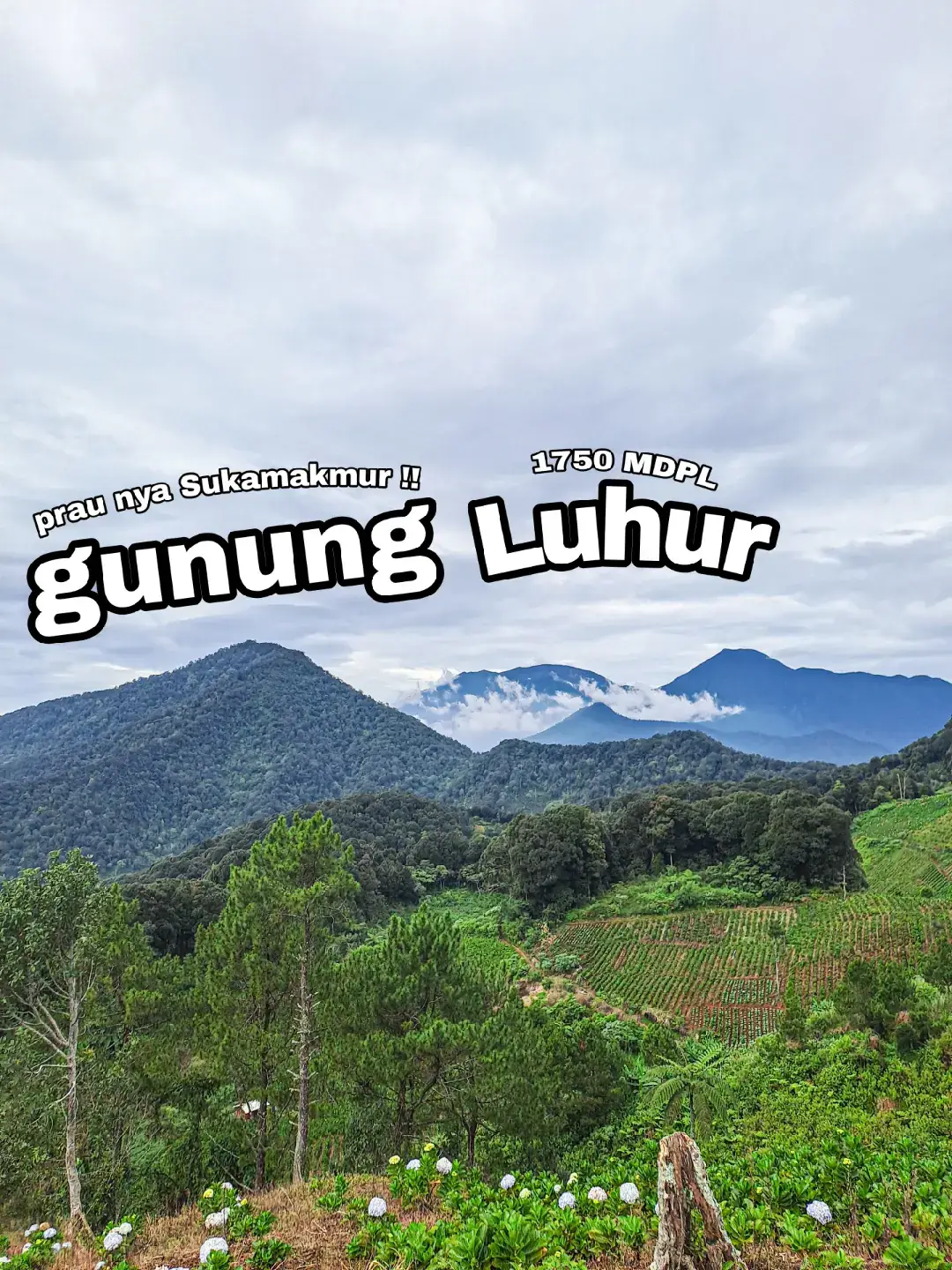 saya memberikan info estimasi normal pada umumnya.Saya sendiri dari bc-puncak 50 menit karena agak lari dan ga istirahat,kemampuan setiap orang beda beda tetapi jangan terlalu di paksakan selalu istirahat yang teratur #gunungluhur1750mdpl #bogor #puncak2bogor #pendakigunung 