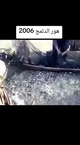 #هور_الدلمج_الديوانيه_عفك_لايك_فدوه #الصيد #s #الشعب_الصيني_ماله_حل😂😂 