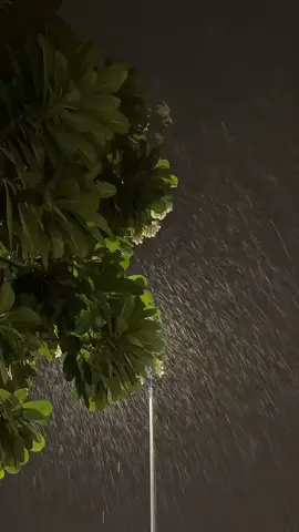 نجران اخر الليل 🌧️❣️.#امطار_الخير #نجران #yyyyyyyyyyyyyyyyyy 