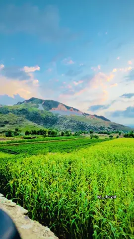 #foryoupage❤️❤️ #😭😭😭 