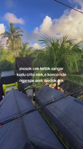 🤷🏽‍♂️🤦🏻#bali24jam #negaroaxpdc 