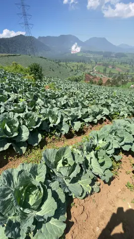 #fyppppppppppppppppppppppp 