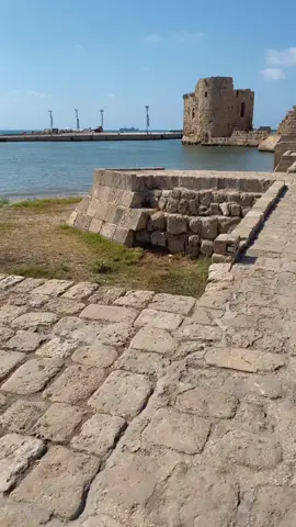 #هاني_شاكر#اكسبلور 