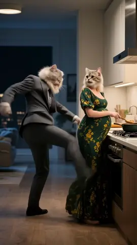 #tiktokgemscontest #cartoon #cutecat #fatorangecat 