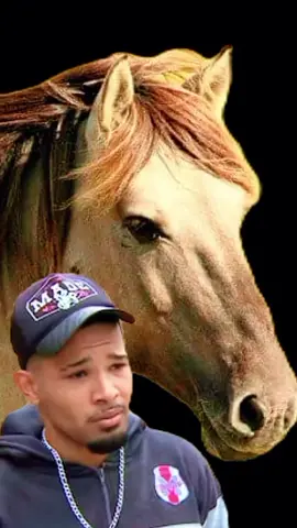 Eliéser em lágrimas fala sobre o cavalo 