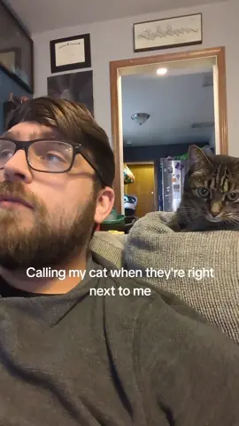 The cat’s response to being called #foryou #fyp #funnyvideos #usa #funny #cat #kitten #catsoftiktok 