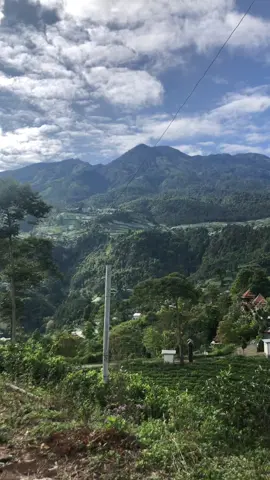 🍃🌼🌝🌻#promomakanmerdeka #kemuning #karanganyar24jam #masukberanda #berandatiktok 