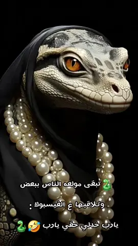 🐍تبقى مولعه الناس ببعض وتلاقيها ع الفيسبوك : يارب خدلي حقي يارب 🤣🐍 #الشعب_الصيني_ماله_حل #pov #ترند #fyp #fypシ゚viral 