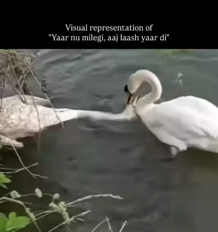#creatorsearchinsights #goviral #foryou #foryoupagе #tiktok #fypシ゚ #trending #viraltiktok #reels #fy #fyp #fypシ゚viral 