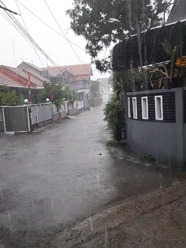 Turun hujan. Hujan adalah berkah bagi Ibu Bumi dan segala isinya: manusia, hewan, tumbuhan. Syukur atas hujan berkat. Air hujan tampung, endapkan, proses pisah asam basa, minum tanpa dimasak. #hujan #bekasi #berkah #ph #tds 