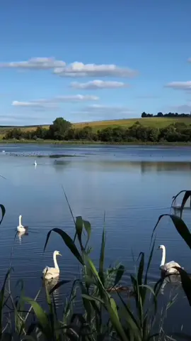 # song lam mưa chiều 🌷🌷🌷