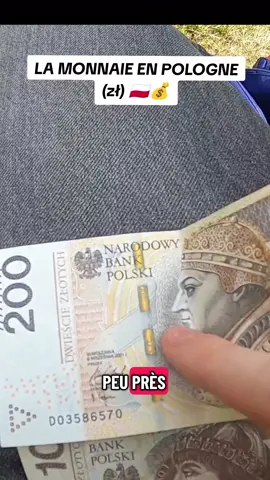 la monnaie en Pologne 🇵🇱 #pologne #argent #voyage #Vlog 