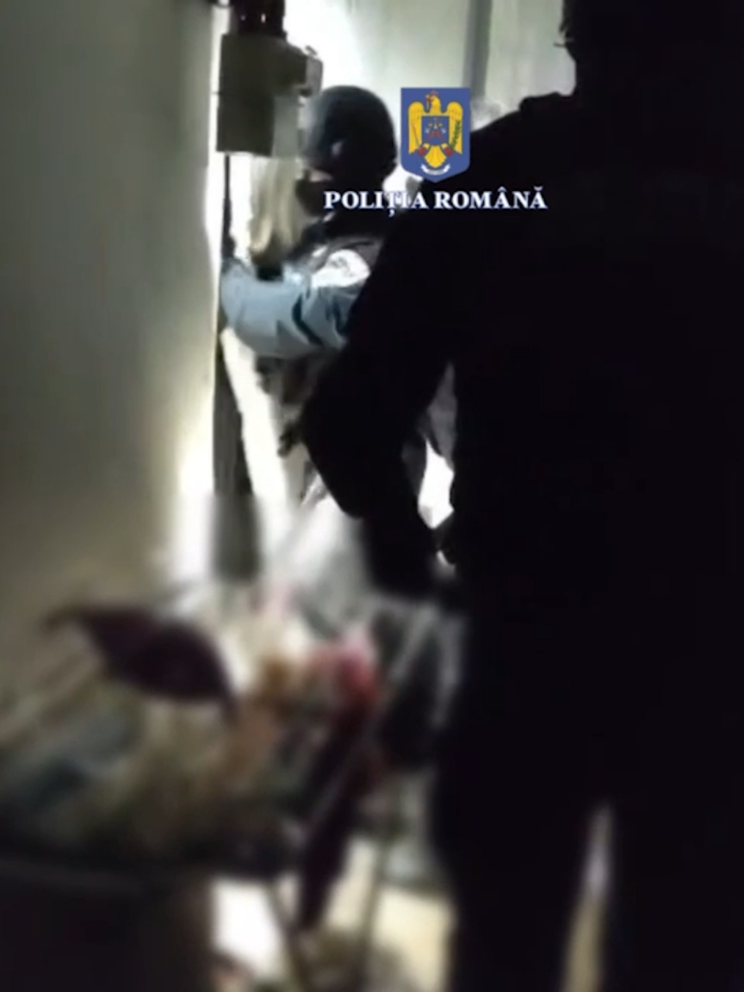 Bărbat tâlhărit de o prostituată și bărbatul care o însoțea #talharie #politia #perchezitii