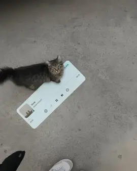 #fyp #lyrics #liriklagu #sorai #xyzbca 