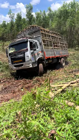 Đất đỏ nắng Vân lây #81gialai 