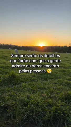 Menino da pecuária 🇬🇫