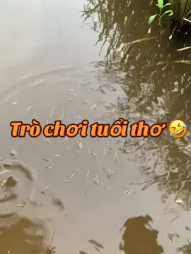 Cái tuổi mà nên đi chơi, đi du lịch với bạn bè hay người yêu. Nhỏ này chọn ngồi chơi búp nổ, mỗi ngày nổ một nơi, mỗi nơi hai rổ:)))) #mientay #xuhuong 