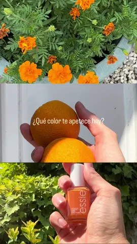 Los colores del verano 🍊  @essie #essiesummer #essiespain *regalo de Essie 