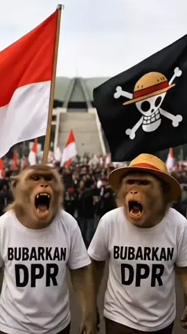 MONYET IKUT DEMO BUBARKAN DPR #monyetAI 
