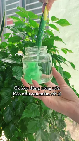 Biết sao giờ :)) #comdua #viral #xh #xuhuongvideo #muataitiktok 