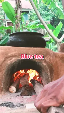 Butterfly pea. Does anyone knows how to use the pods?   - Flowers can be eaten, drunk as tea, and used to Color food. The young pods are suitable for eating while tender. It increases soil fertility.  Words  from A Garden Guide to Native Plants of Coastal East Africa Book from Mkukinanyota  #garden #farm #firewood  #tea #butterflypeaflower 
