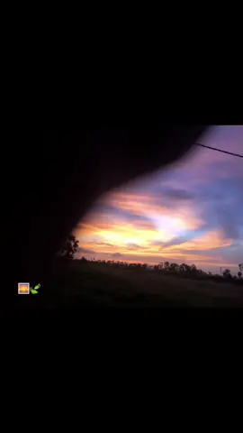 🌅🍃