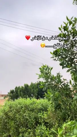 #امدرمان #السودان #امدرمان_الثورة_كل_الحب💜 