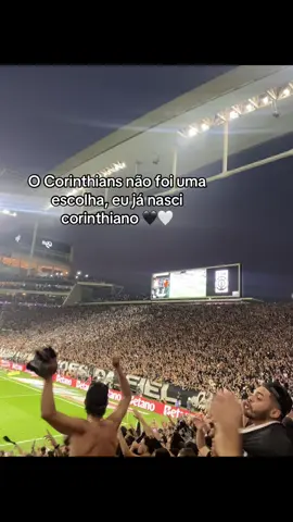 #corinthians #timao #gavioesdafiel 
