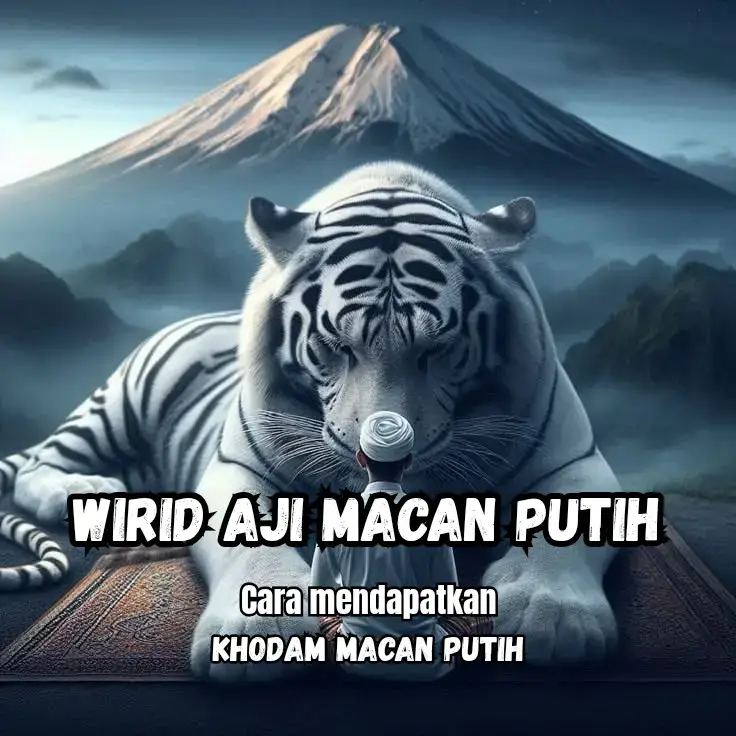 Wirid aji macan putih adalah salah satu amalan dari sedikit amalan untuk mendapatkan khodam macan putih #khodam #mistis #horror #fyp #cekkhodam 