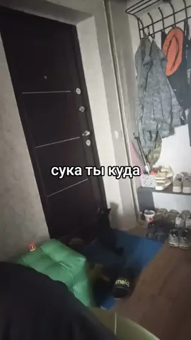 блин нафик #recommendations #щп #fup 