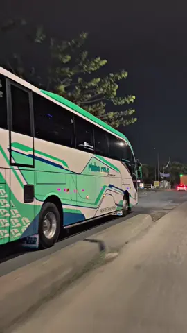 Masih Di Era Promo Rimba Raya Victorious Class Weekdays 243k‼️ #rimbarayabus #busmania #busmaniacommunity #fyp #fypシ゚viral 