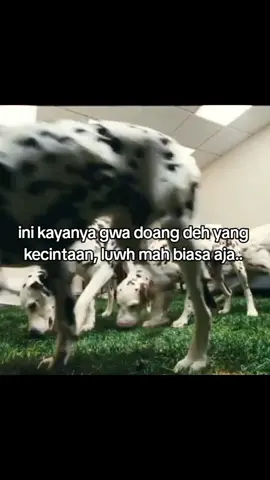 #4upage #4u #rexorangecounty #fyp #xyzbca INI KAYANYA GWA DOANG