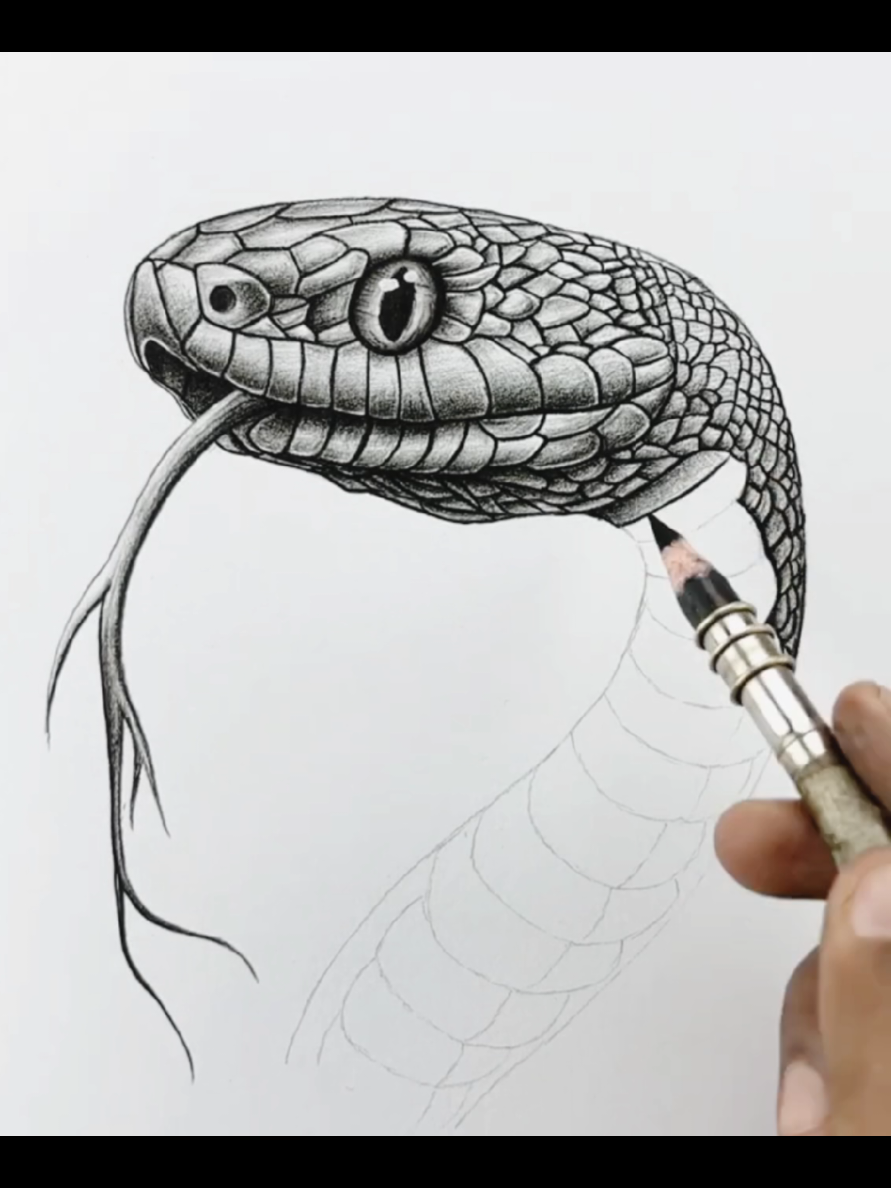 Realistic snake drawing#creatorsearchinsights#drawing #trending #artistsoftiktok #viralvideo 