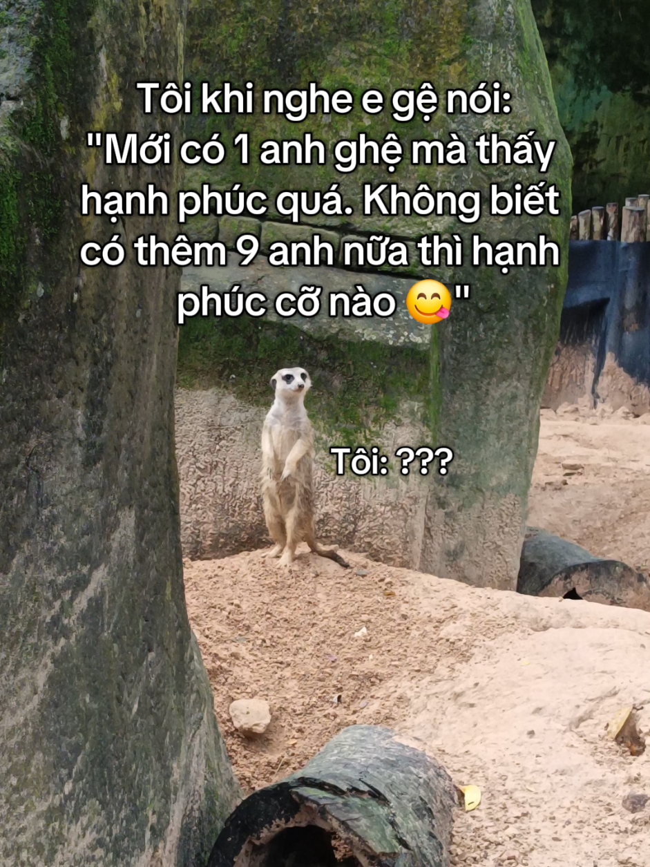 Em nghỉ hay đấy....vào đây cho a... #VinWonders #GreenCreator #dulich #fyp #vinpearlsafariphuquoc 