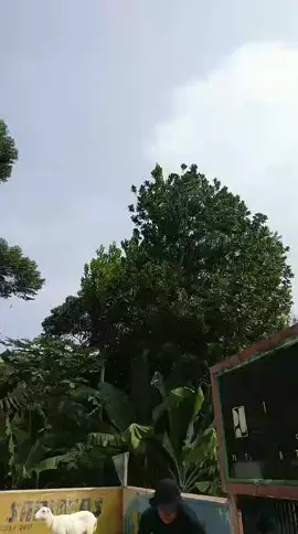 CBR with owner 🔥.                                #hpdkijawabarat. #skdg. #fyp