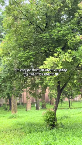 সব অজুহাত মিথ্যে, যে থাকার সে হাজার যুদ্ধ করে হলে'ও থাকবেই 🤍