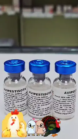 Vaccinul AVIPESTISOTA se folosește pentru profilaxia specifică a bolii de Newcastle, la găini, curci, fazani, porumbei. 🐔🦃🕊️ #fyp #Vaccin #chicken  #viralvideos  #creatorsearchinsights 