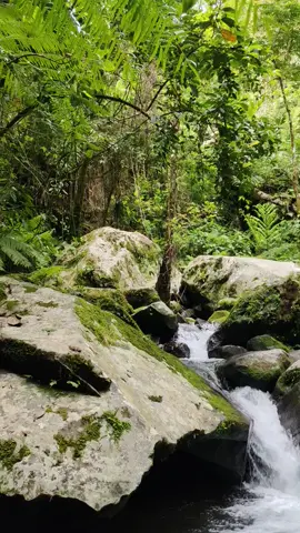 🍀 #fypシ゚ #sariayaquezon #mtbanahaw 