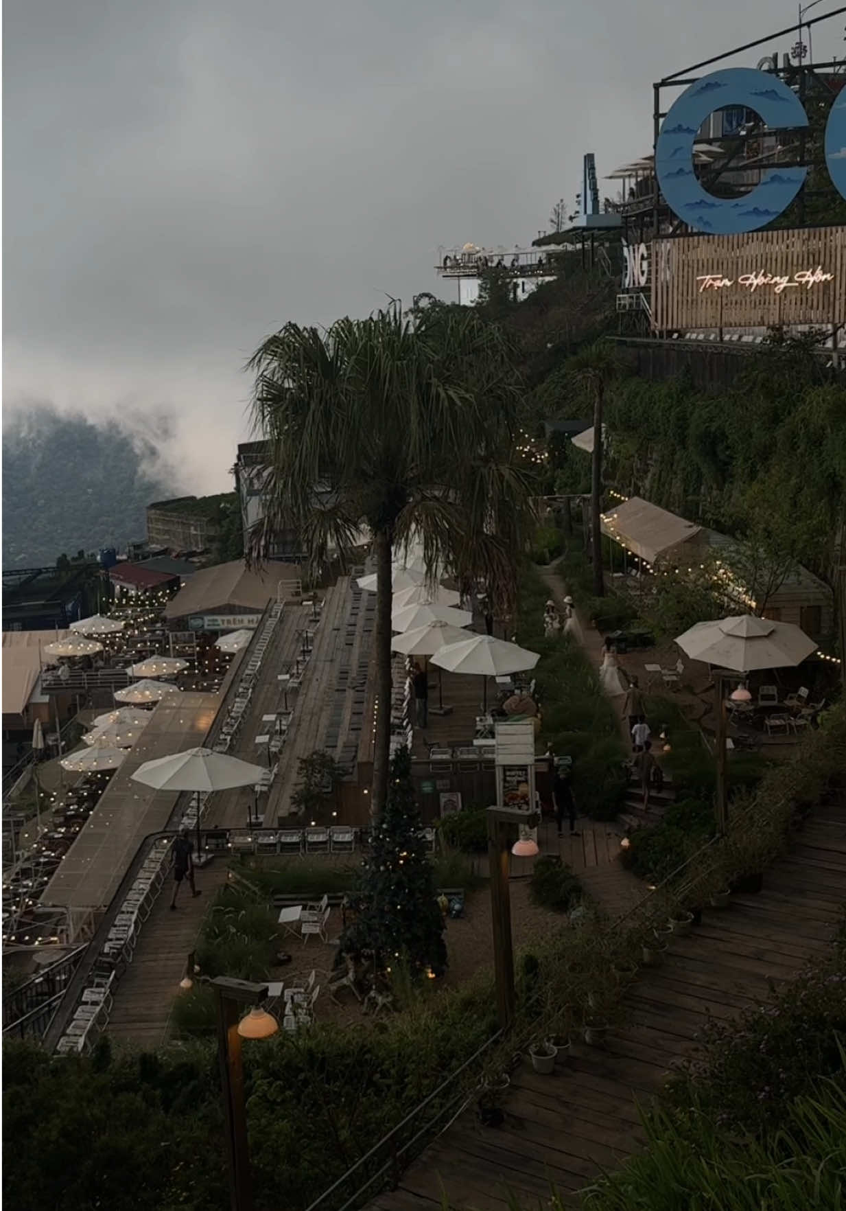 Những ngày mù Tam Đảo,...  #tramhoanghon  #tamdao #caphe24 #caphechill 